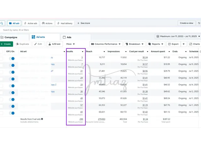 Facebook Ads campaign table filtered by delivery status and results