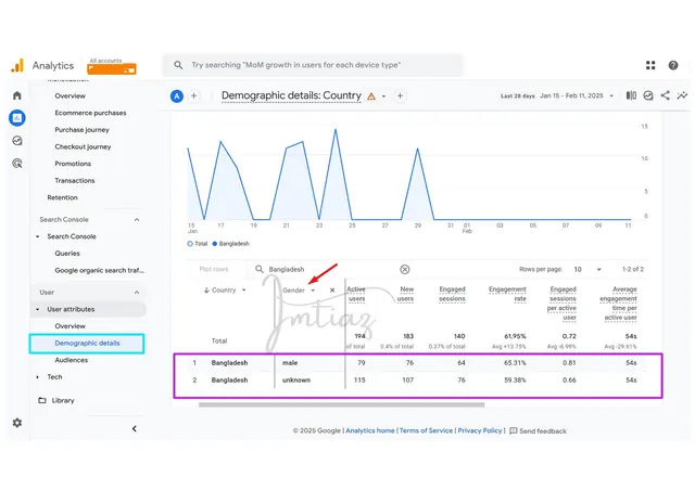 GA4 demographic details report showing users by country and gender